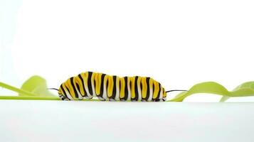 Photo of a monarch caterpillar on white background. Generative AI