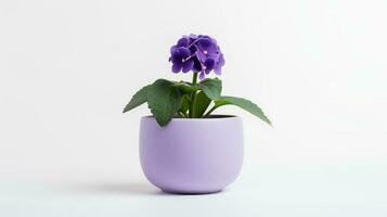 Photo of Violet flower in minimalist pot as houseplant for home decoration isolated on white background. Generative AI