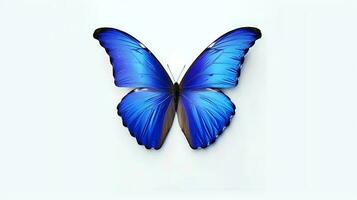 Photo of a Blue Morpho Butterfly on white background. Generative AI