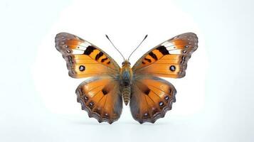 foto de un mariposa en blanco antecedentes. generativo ai