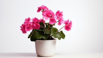 Photo of Geranium in minimalist pot as houseplant for home decoration isolated on white background. Generative AI