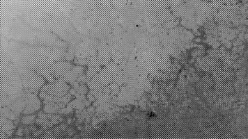 natural sutil trama de semitonos vector textura cubrir con fractura efecto. 16x9 monocromo resumen salpicado antecedentes.