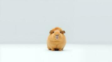 Photo of a guinea pig on white background. Generative AI