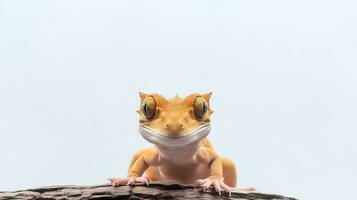 Photo of a crested gecko on white background. Generative AI