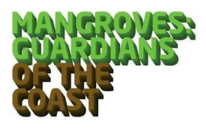 3D text Design About World Mangrove Day vector