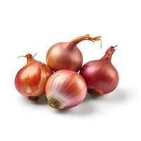 Photo of Shallots isolated on white background