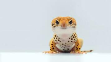 foto de un leopardo geco en blanco antecedentes. generativo ai