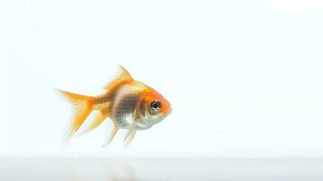 foto de un tetra pescado en blanco antecedentes. generativo ai