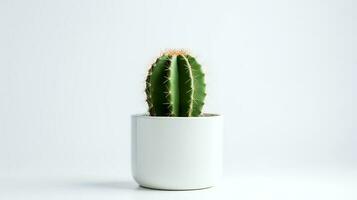 foto de cactus en minimalista maceta como planta de casa para hogar decoración aislado en blanco antecedentes. generativo ai