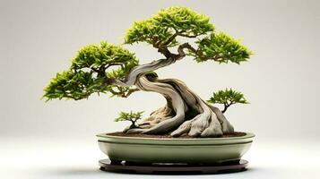 foto de bonsai en minimalista maceta como planta de casa para hogar decoración aislado en borroso antecedentes. generativo ai