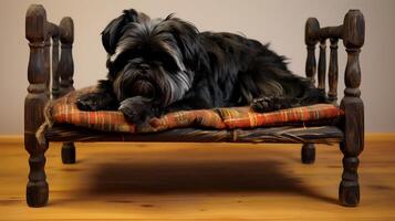 Portrait of Affenpinscher lying on chair. generative AI photo