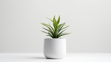 Photo houseplant in minimalist pot  for home decoration. Generative AI