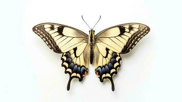 Photo of a swallowtail butterly on white background. Generative AI