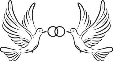 Vector monochrome loving flying doves with rings in their beak. Bird of love and hope.