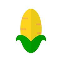 Modern corn icon. Maize. Vector. vector