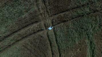 an aerial view of a woman in a field video