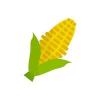 Flat design corn icon. Vector. vector