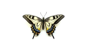 Photo of a swallowtail butterly on white background. Generative AI