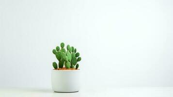 Photo of Prickly pear in minimalist pot as houseplant for home decoration isolated on white background. Generative AI