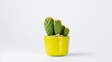 Photo of Prickly pear in minimalist yellow pot as houseplant for home decoration isolated on white background. Generative AI