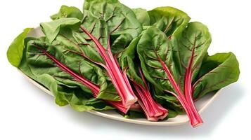 Photo of Swiss chard on plate isolated on white background