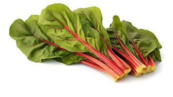 Photo of Swiss chard isolated on white background