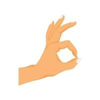 hand gesture with ok sign vector