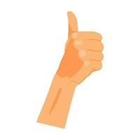 vector illustration of a gesture showing a thumbs up sign like