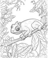 Coloring page of chameleon lizard for adults vector