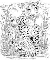 Mother Cheetah and Baby Cheetah Coloring Page vector