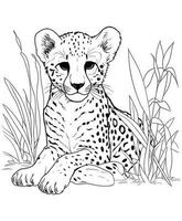 Cheetah Jungle Coloring Pages vector
