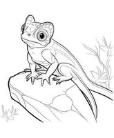 Chameleon Coloring Pages vector