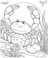 crab sea life coloring page vector