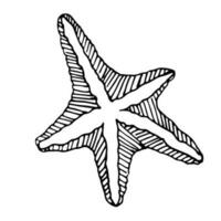 A starfish doodle in a hand-drawn style with a black line on a white background. Starfish design vector illustration isolated element for summer natural color design with line texture