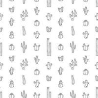 Vector seamless pattern with cactus