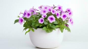 Photo of Petunia in minimalist pot as houseplant for home decoration isolated on white background. Generative AI
