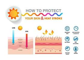 heat strock cause effect, symptoms and how to prevention vector