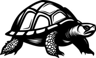 Turtle - High Quality Vector Logo - Vector illustration ideal for T-shirt graphic