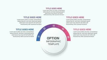 Five 5 Steps Options Circle Business Infographic Template Design vector