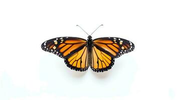 Photo of a monarch butterly on white background. Generative AI