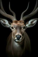 Close up photo of Waterbuck isolated on black background. Generative AI
