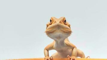 Photo of a Bearded Dragon on white background. Generative AI