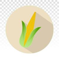 Ear of corn or maize flat icons for apps or website vector