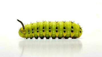 Photo of a swallowtail caterpillar on white background. Generative AI