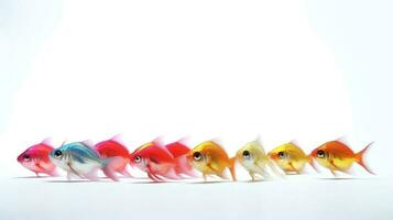 Photo of a neon tetras fish on white background