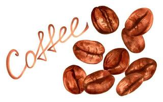 Coffee beans.Composition of falling beans with an inscription.International Coffee Day. Flavored drink with caffeine. Markers and watercolor.Hand drawn isolated art. vector