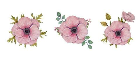 Floral set.Anemone flowers with leaves and berries. Ideal for design elements, cards, wedding invitations, birthdays. vector