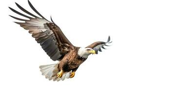 Photo of a Bald Eagle on white background. Generative AI