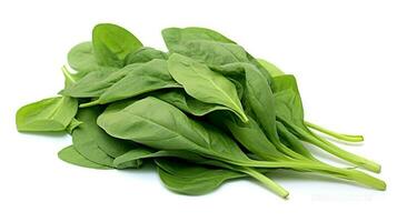 Photo of Spinach isolated on white background