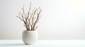 Photo of dry twigs in minimalist pot as houseplant for home decoration isolated on white background. Generative AI